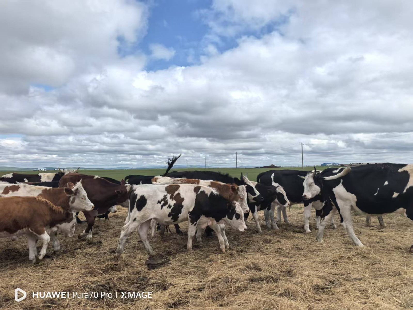 /Upload/Product/010b613c93054f62a2a0f1543dc93c0e.jpg?width=200&height=148&bgcolor=fff