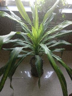 /Upload/Product/2017071305055513904.jpg?width=200&height=148&bgcolor=fff