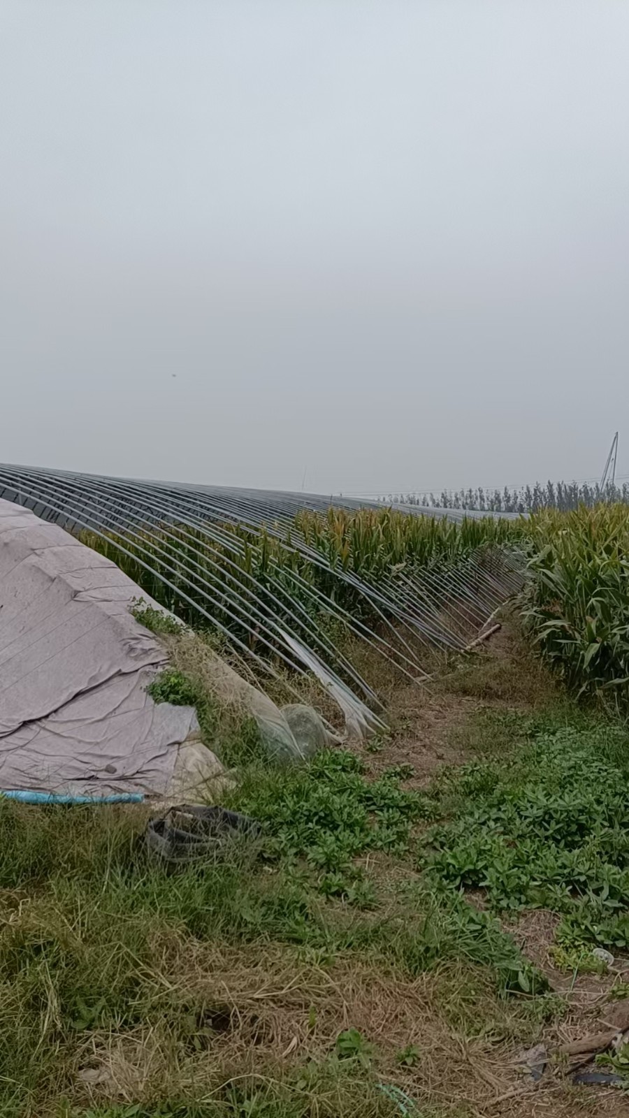 /Upload/Product/b1cabb993e694fc290a9b3b550a6f62f.jpg?width=200&height=148&bgcolor=fff