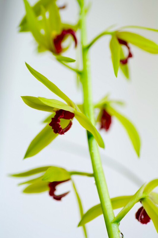 /Upload/Product/c1086dc1f56a4bff8b74a6c01a4f76ed.png?width=200&height=148&bgcolor=fff