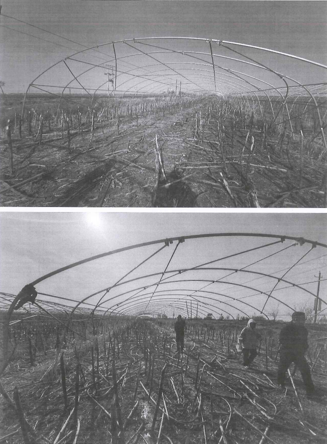 /Upload/Product/edd9737fbc314ab3b3f49406013243d4.png?width=200&height=148&bgcolor=fff