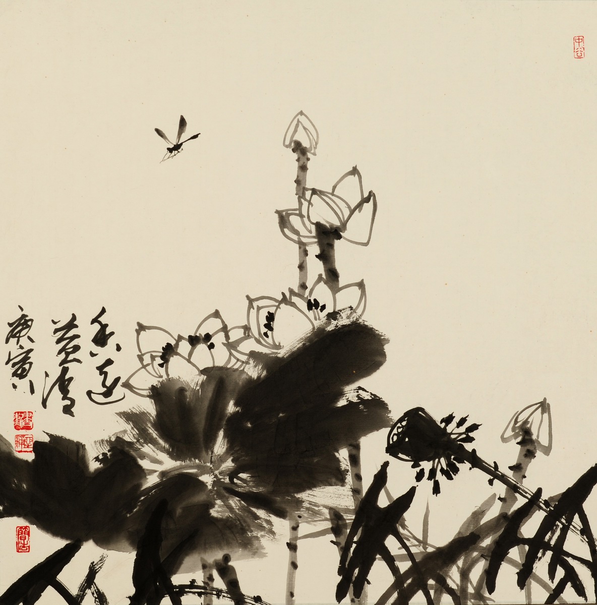 DSC_0129.JPG DSC_0129.JPG