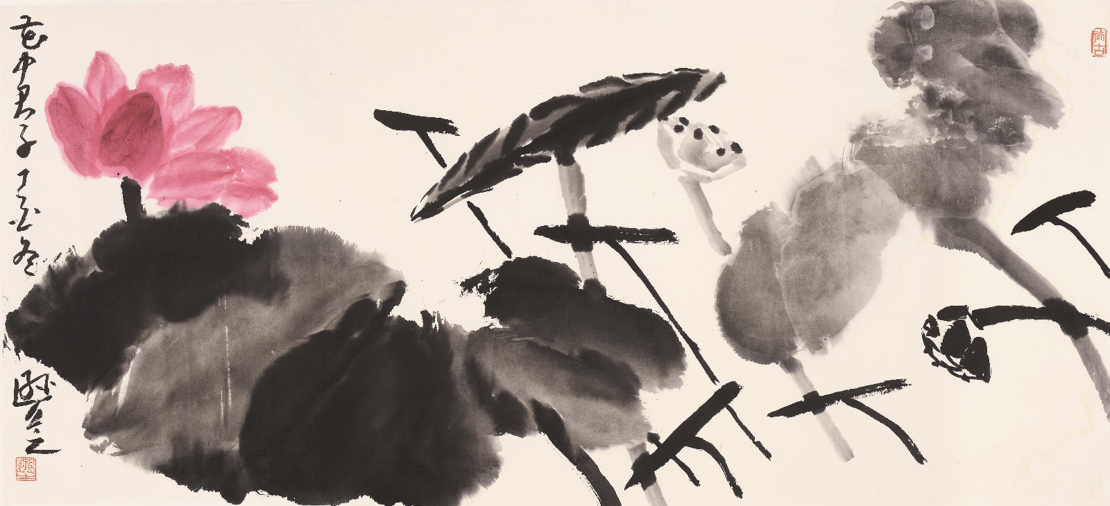 劉遜芝 花中君子_愛奇藝.jpg 劉遜芝 花中君子_愛奇藝.jpg